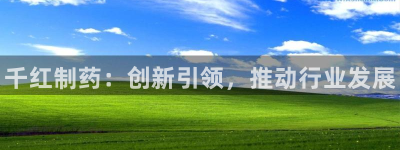 彩名堂3d：千红制药：创新引领，推动行业