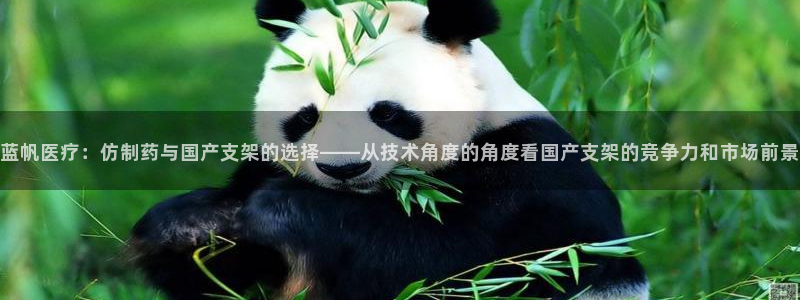 彩名堂人工预测免费计划